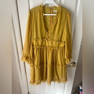 Southern Fried chicks dress XXL